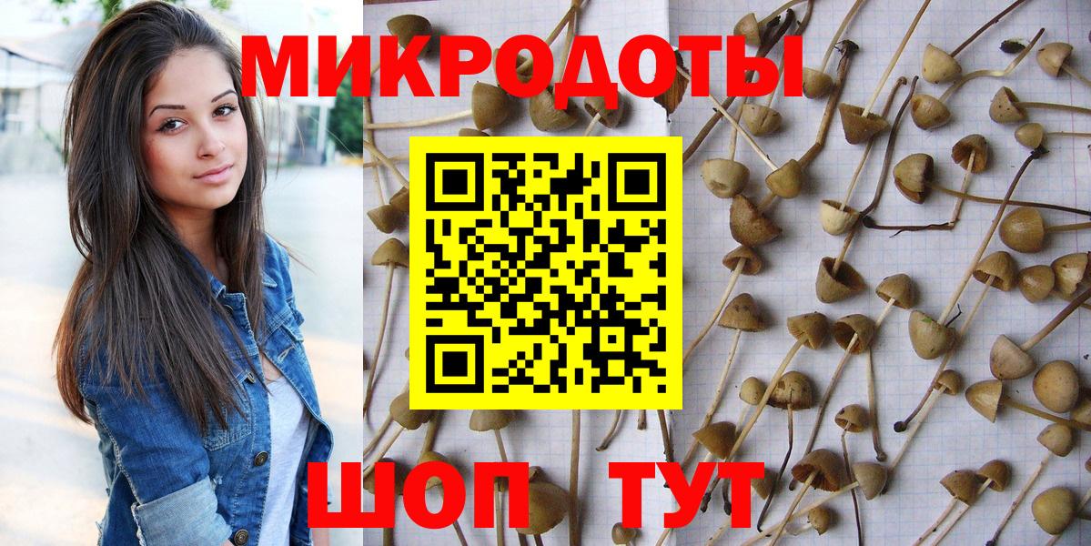 Домодедово  Псилоцибиновые грибы GOLDEN TEACHER  Вход с VPN 